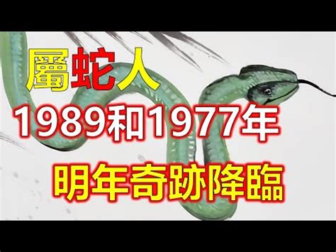 1989蛇五行 凌字五行